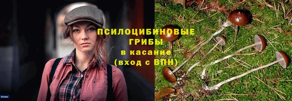 круглые Аркадак