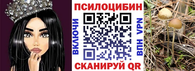 Псилоцибиновые грибы Psilocybe  наркошоп  Фролово 