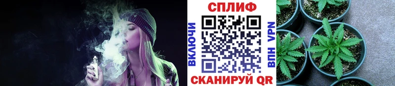 Канабис сатива  Фролово 